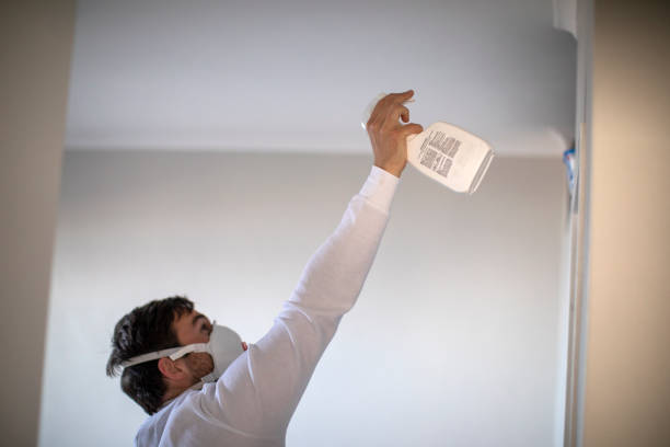 Best DIY Mold Remediation Support Services in Samson, AL