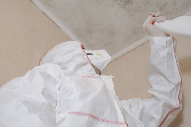 Best Commercial Mold Remediation in Samson, AL