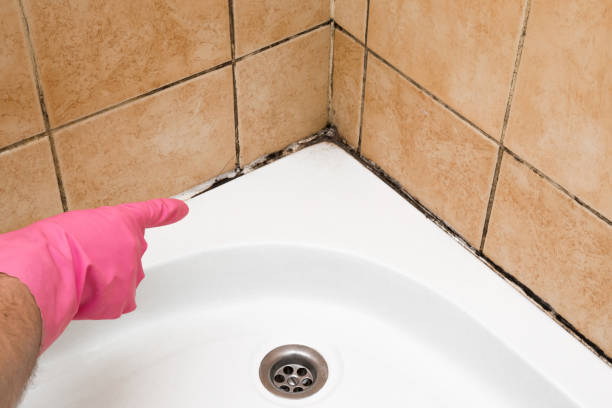 Best Industrial Mold Remediation in Samson, AL